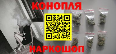 крисы Балаково