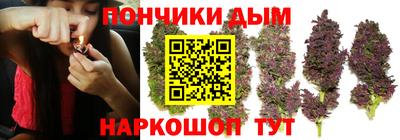 крисы Балаково