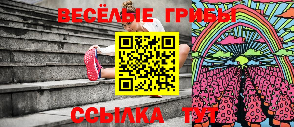 Псилоцибиновые грибы мицелий  Псилоцибиновые грибы прущие грибы  Вход с VPN  Добрянка 